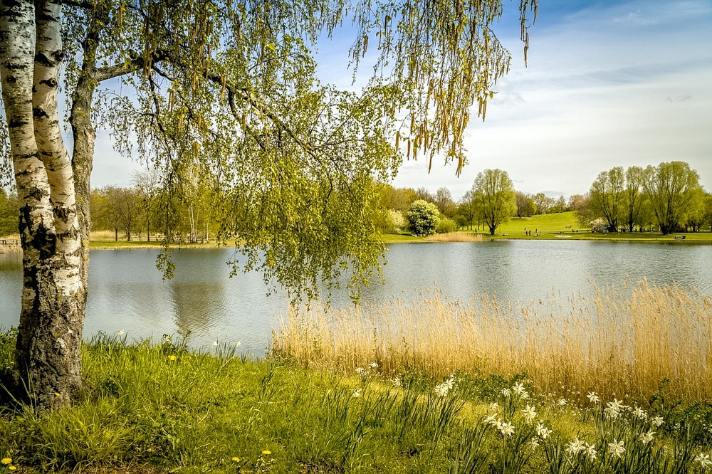 berlin things to do summer-lakes