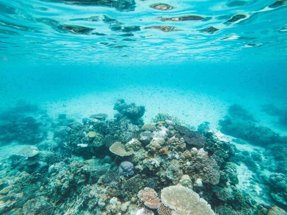 coron black island reefs