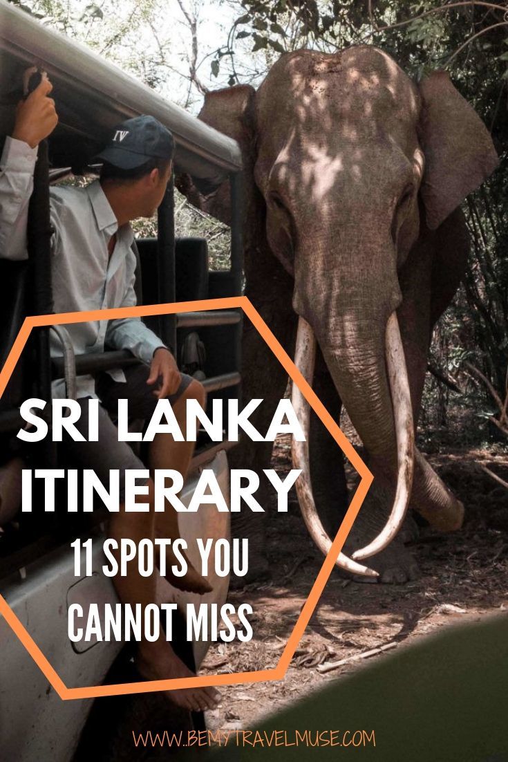 A perfect Sri Lanka itinerary with 11 spots you cannot miss. Use this itinerary to plan your way through Sigiriya, Ella, Adam's Peak, Arugam Bay and some other off the beaten path places in the country where you will have gorgeous beaches all to yourself! Tips on getting to each spot, accommodation and best things to do in each area included. Click to read now! #SriLanka