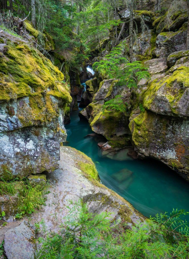 glacier national park things to do avalanche gorge