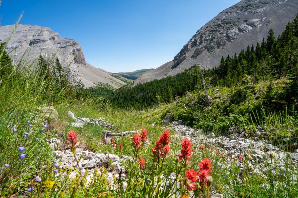 bob marshall wilderness