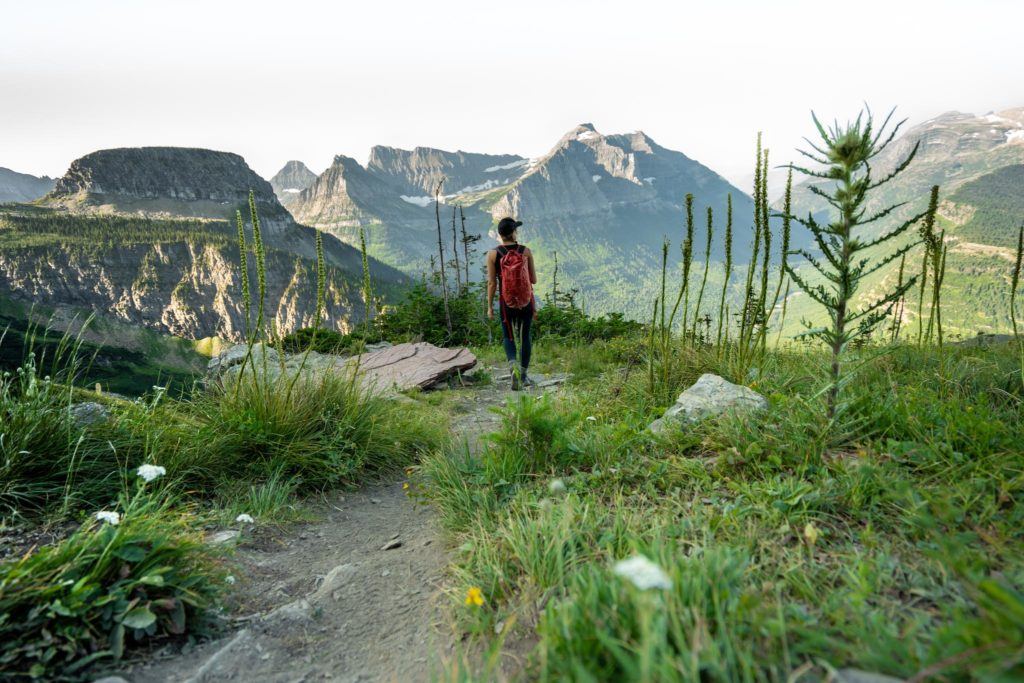 glacier national park things to do highline trail