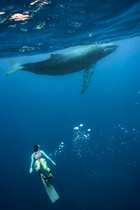 French Polynesia 2019, discovering my love of freediving