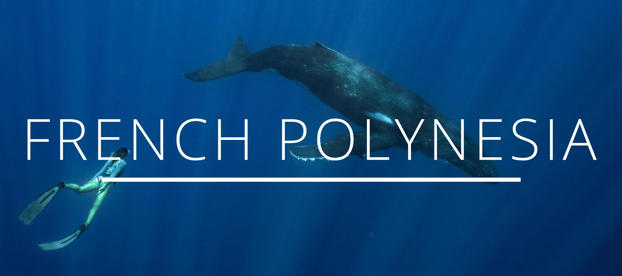 french polynesia french polynesia guide