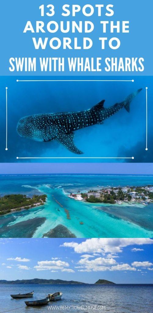 Do you have swimming with whale sharks on your adventure bucket list? Here are 13 spots around the world where you can swim with whale sharks ethically and in the wild. #WhaleSharks