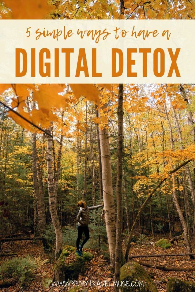 Why is a digital detox so important? If your daily life involves lots of screen time, taking a break from social media and the Internet in general is crucial. Here are 5 things about a digital detox you need to know.