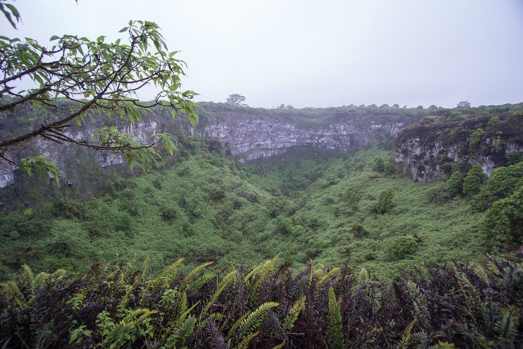 The 15 Best Things to Do on the Galapagos' Santa Cruz Island