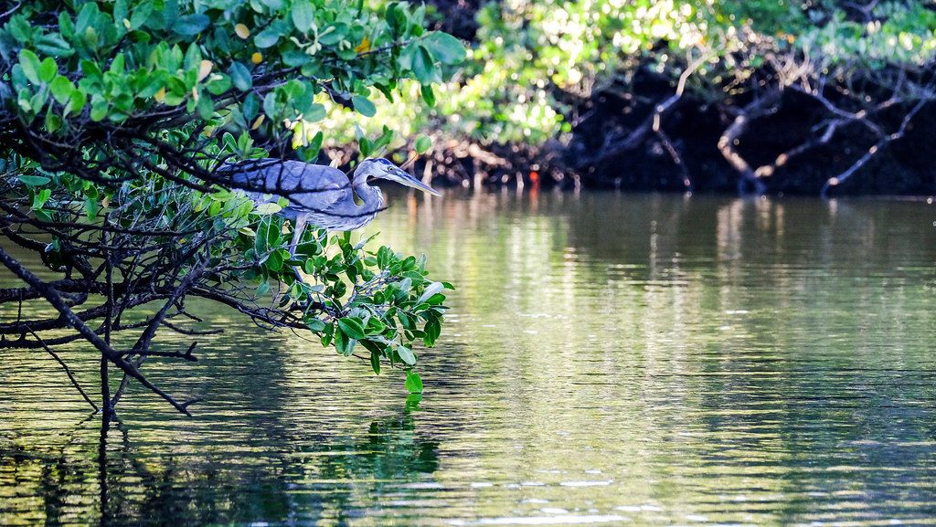 The 15 Best Things to Do on the Galapagos' Santa Cruz Island