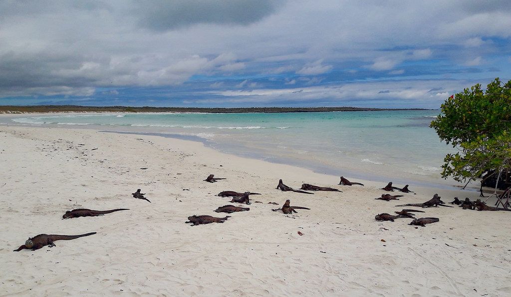 The 15 Best Things to Do on the Galapagos' Santa Cruz Island