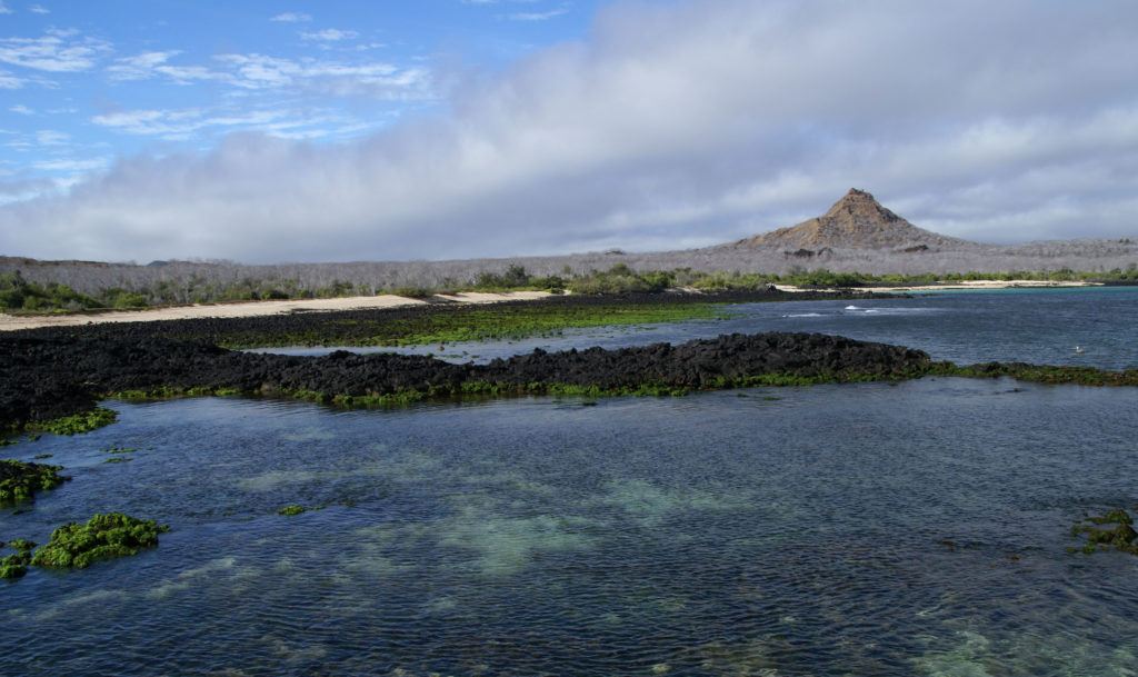 The 15 Best Things to Do on the Galapagos' Santa Cruz Island