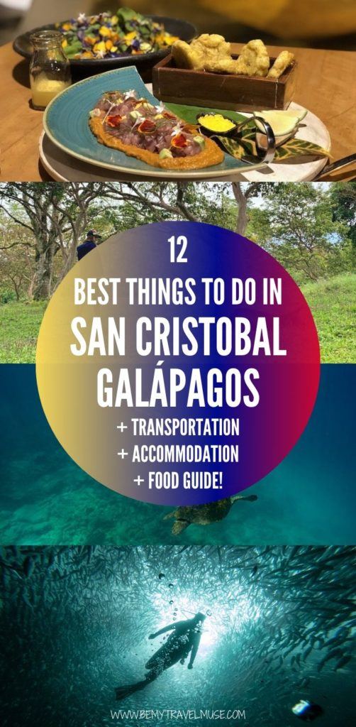 Visiting San Cristobal, Galápagos soon? Here are 12 amazing things to do on the island, some of which are completely free! Get tips on transportation, accommodation and food and plan an amazing trip to this sea lion (and other wildlife) paradise. #SanCristobal #Galápagos