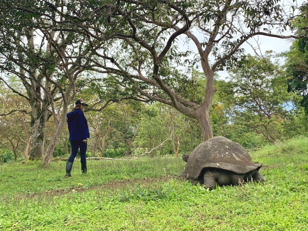 best Galapagos cruise