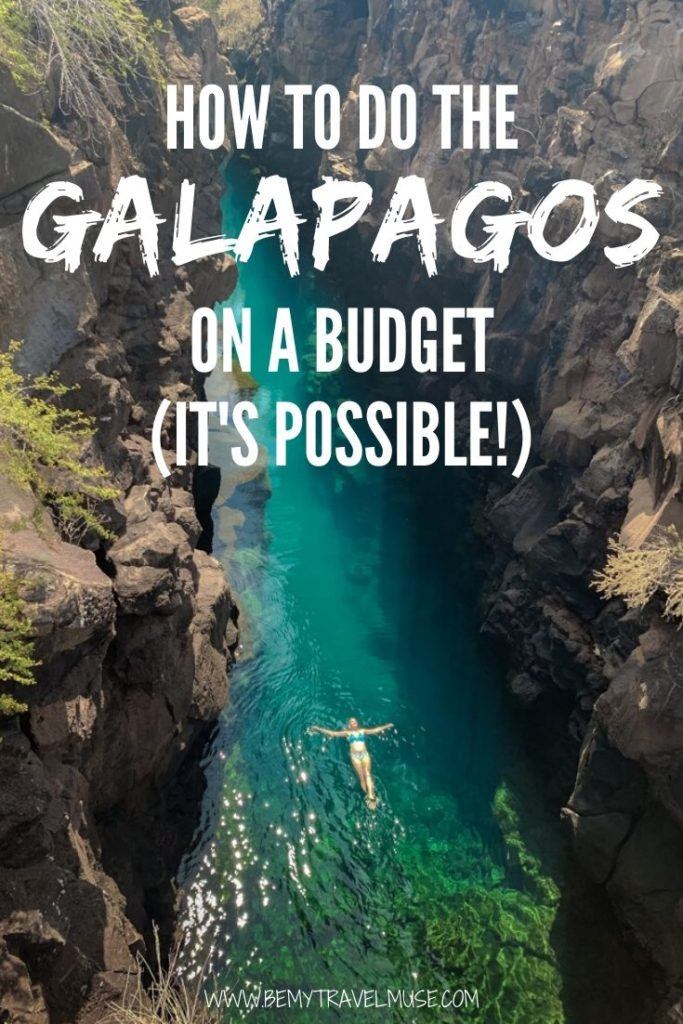 The Galapagos is not just a luxury destination, it is totally possible to travel in the Galapagos on a budget! Here are 5 tips to help you explore the Galapagos cheaply, plus a list of cheap and free things to do. #Galapagos