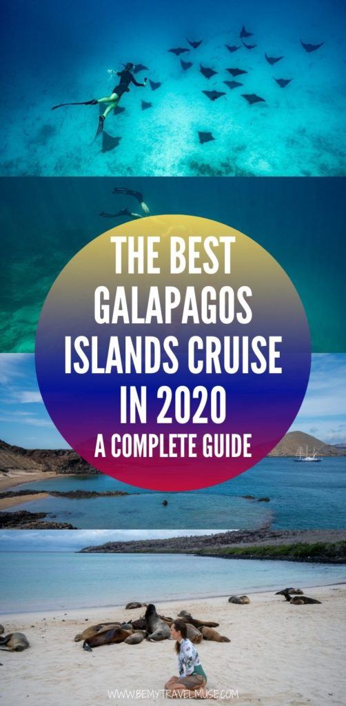 Click for the best Galapagos islands cruise guide for 2020! This guide includes tips on picking the right boat company, an example itinerary and insider tips for solo travelers. If you are planning a trip to Galapagos, be sure to check this guide out! #Galapagos