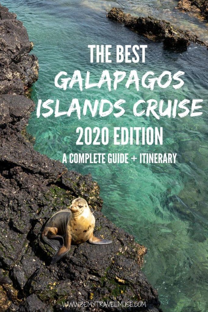 An awesome guide to the best Galapagos islands cruise in 2020, with everything you need to know about booking the right boat, and a complete itinerary 