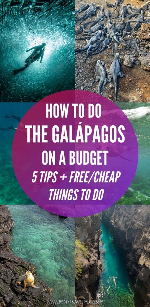 Here are 5 tips to help you travel in the Galapagos on a budget, plus a list of free and cheap things to do. #Galapagos