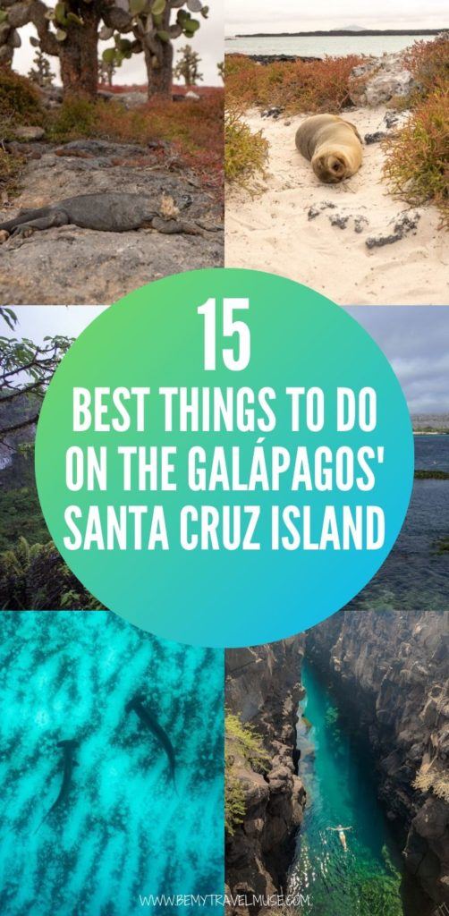15 awesome things to do on the Galápagos' Santa Cruz island, including the stunning Las Grietas! Santa Cruz offers ease, budget options, and plenty of amazing things to do, do not miss it when you are traveling in the Galápagos.
