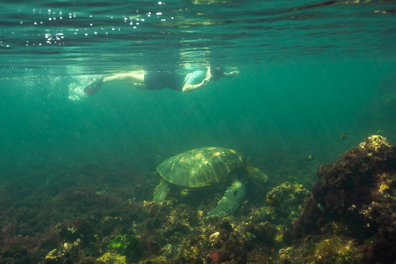 isla isabela galapagos things to do-7