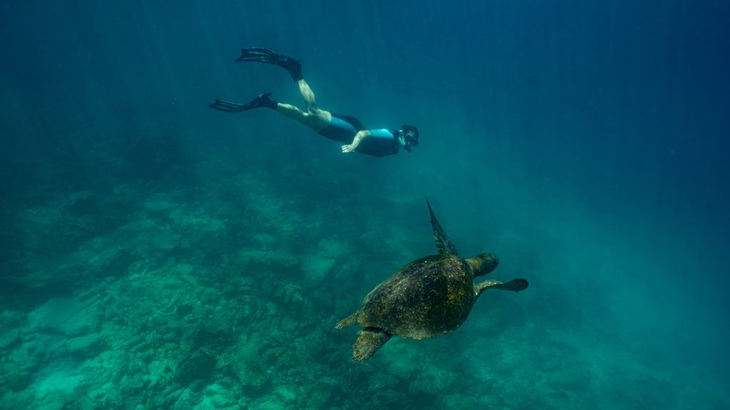 best Galapagos cruise