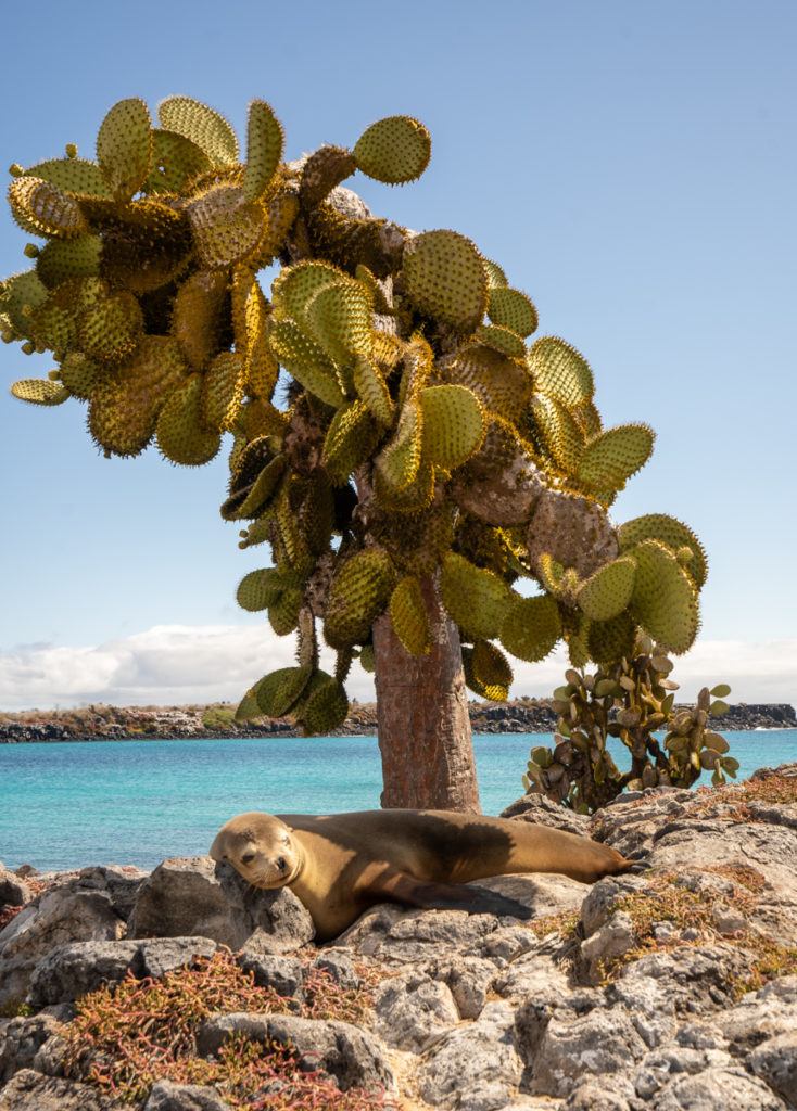 best Galapagos cruise