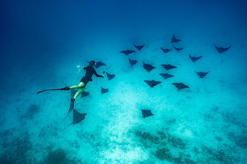 best Galapagos cruise