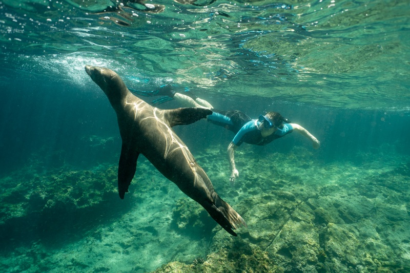 best Galapagos cruise