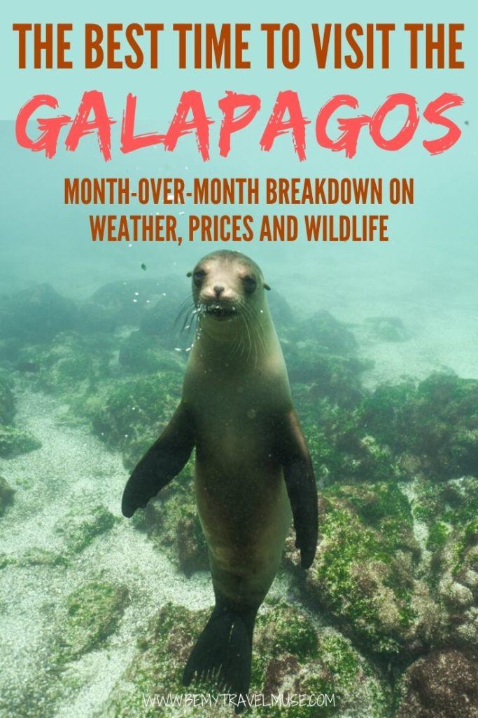 When is the best time to visit the Galapagos islands? Here's a complete month-over-month breakdown with information on the weather and precipitation, prices and booking, as well as wildlife availability to help you make a decision. #Galapagos