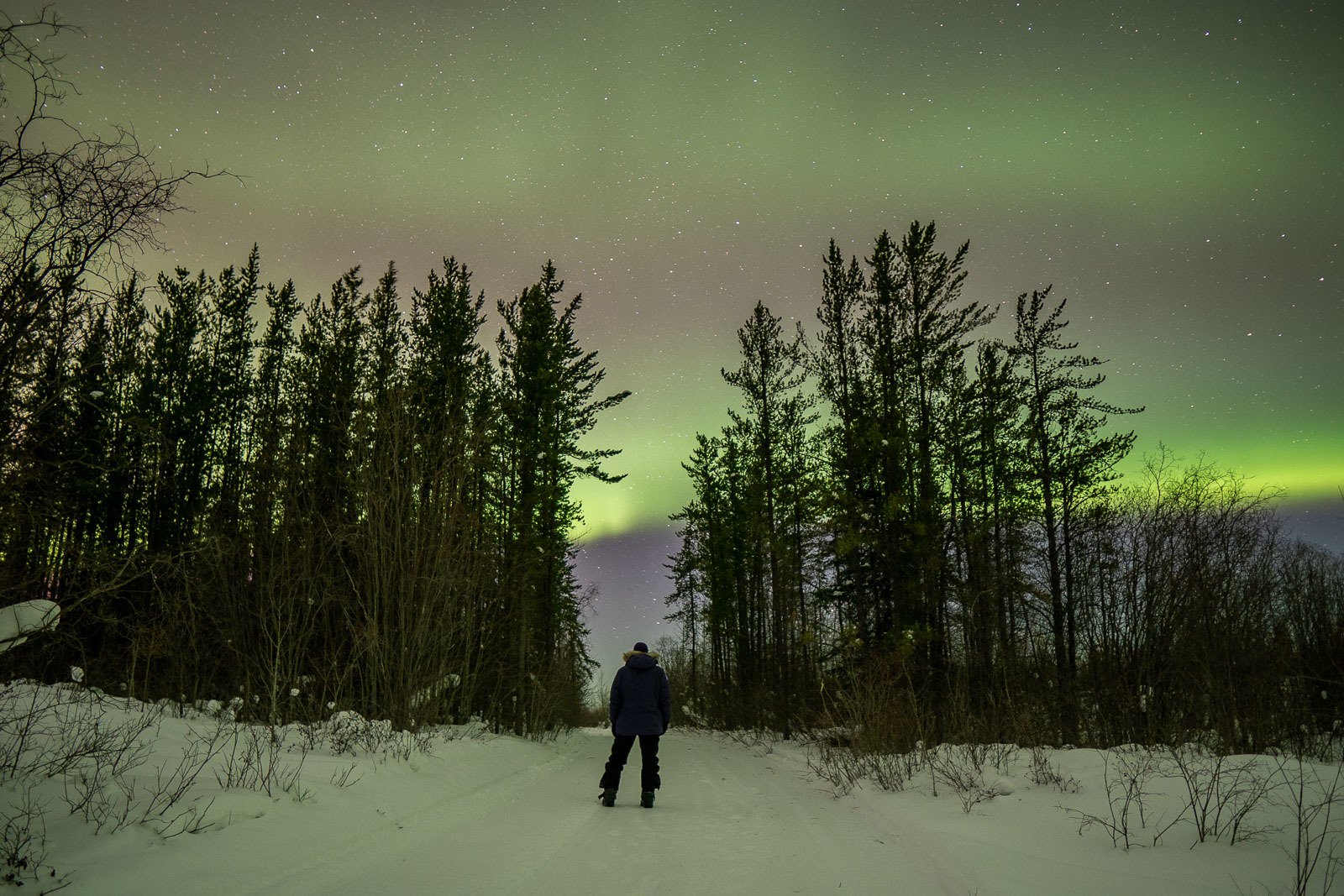 Aurore boréale, Manitoba, 2024