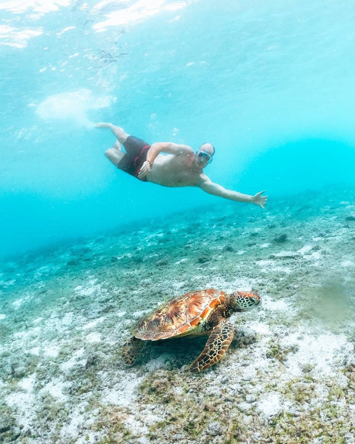 10 top things to do in Samoa - Tom swimming with turtles