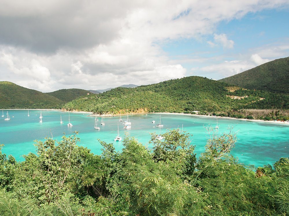 lush forest surrounding boat-filled maho bay in virgin islands national park