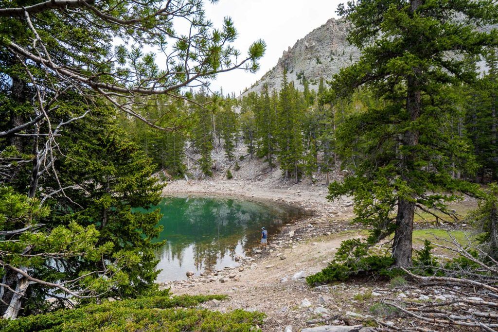 great basin national park