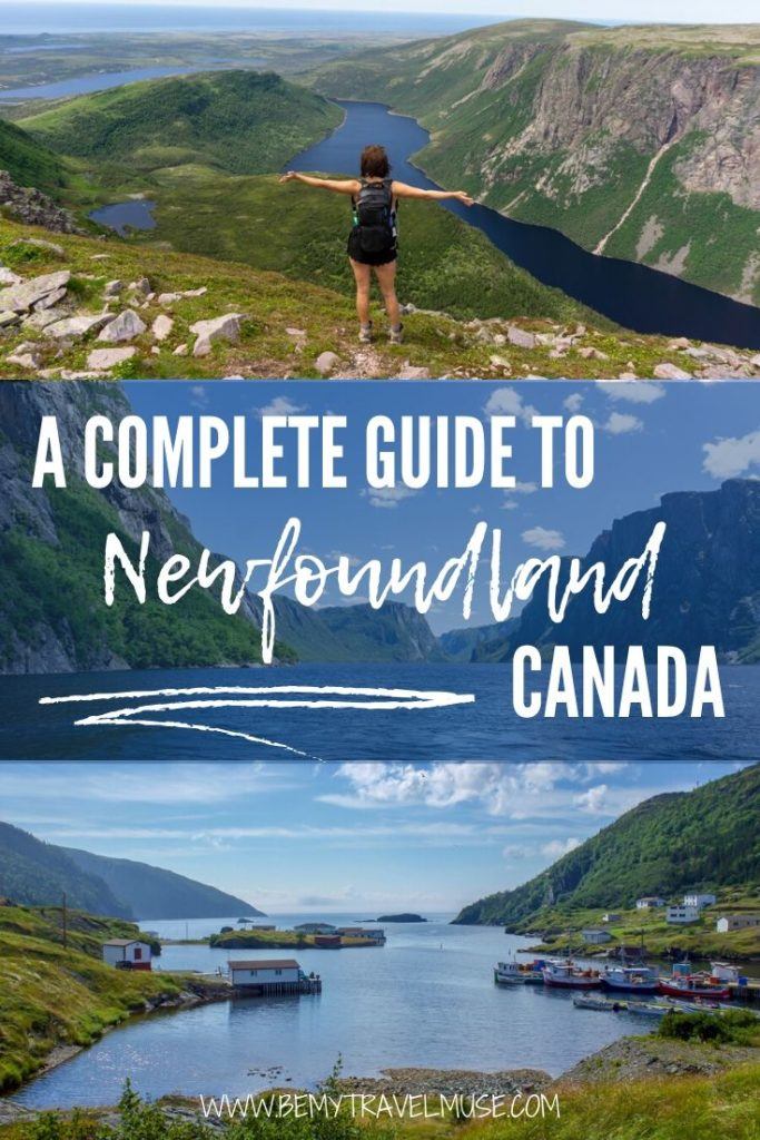 Looking for a destination that's full of unspoiled wilderness, breathtaking hiking trails, whale watching, icebergs, and colorful communities? Click for a local's guide to Newfoundland, Canada, with the best things to do, tips on getting around, and other insider tips that will help you plan a wonderful trip to Newfoundland. #Newfoundland #Canada