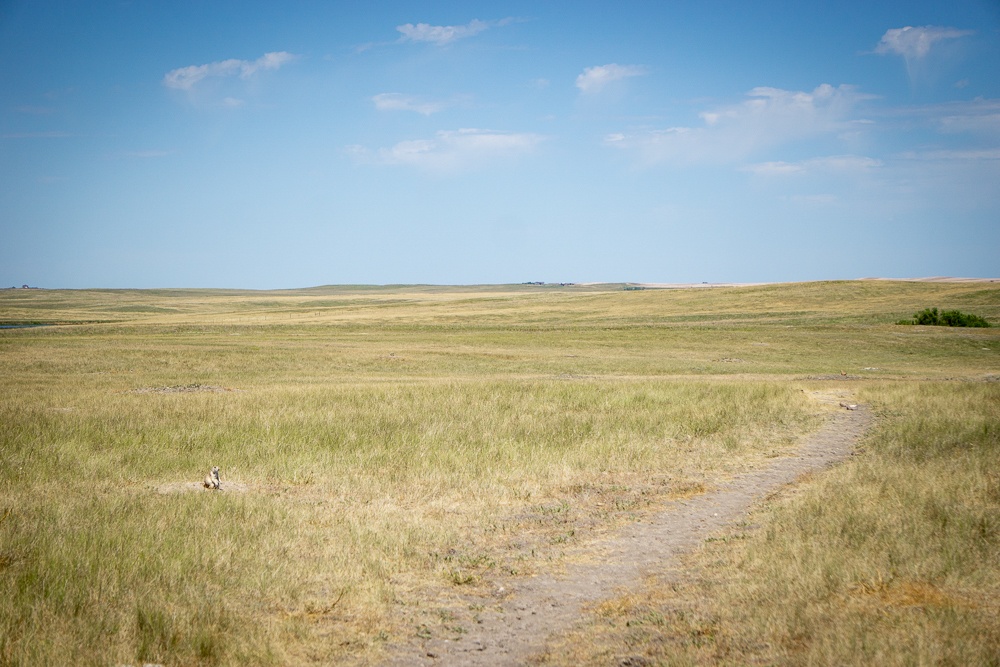 Badlands National Park Prairie Dog Town