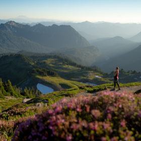 mount rainier national park