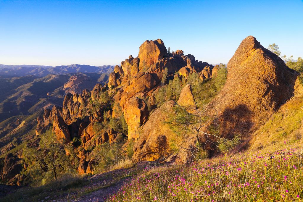 The Best Places to See California's Wildflowers & Super Blooms