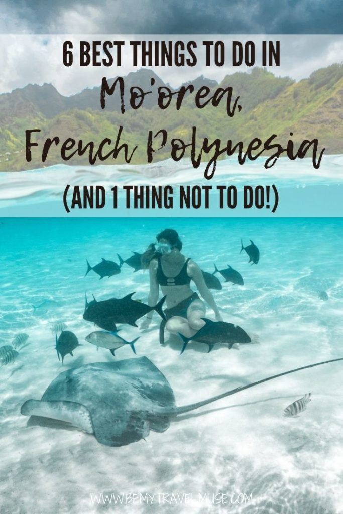 planning what to do while you are in Mo'orea, French Polynesia? Here are 6 unique things to do, including swimming with rays, reef sharks and humpback whales, plus other local recommendations and the one thing you should NOT do! #Moorea #FrenchPolynesia