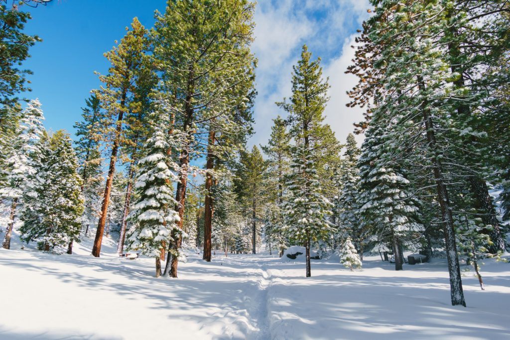 50 Coisas a Fazer no Lago Tahoe
