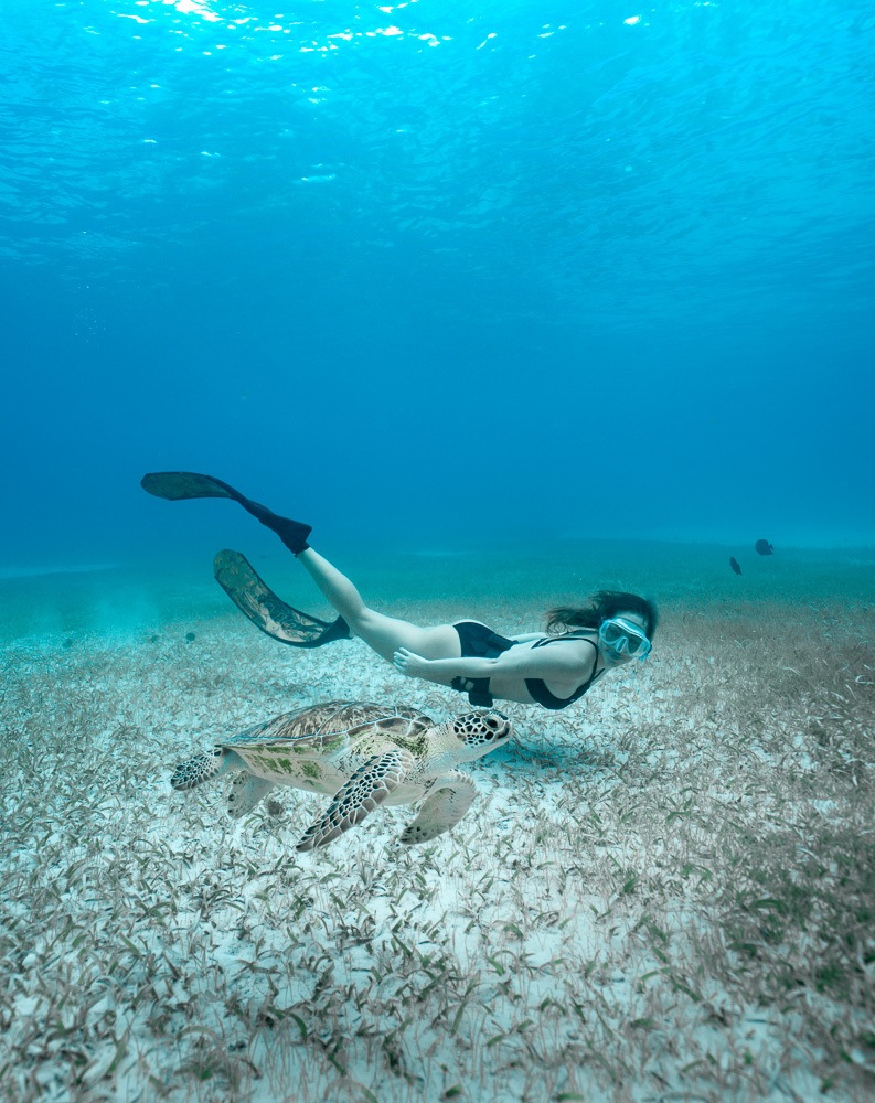 aruba things to do snorkel tres trapi sea turtles