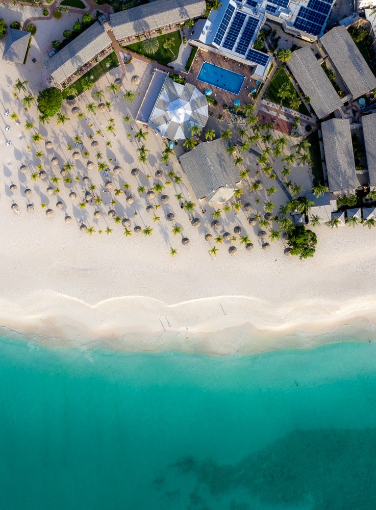 Aruba Private Security Executive Protection Services BodyGuards 