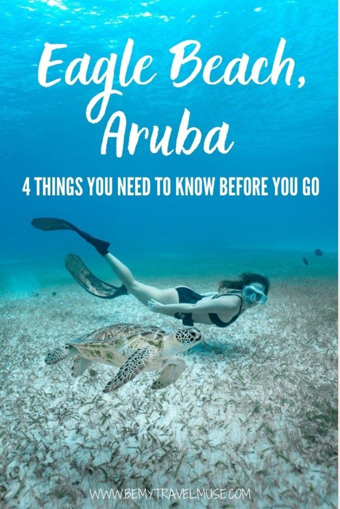 Eagle Beach, Aruba: 4 things you need to know before you go. Learn how to get to Eagle Beach, get accommodation and restaurant recommendation, and find out if Eagle Beach is truly worthy of visiting. #EagleBeach #Aruba