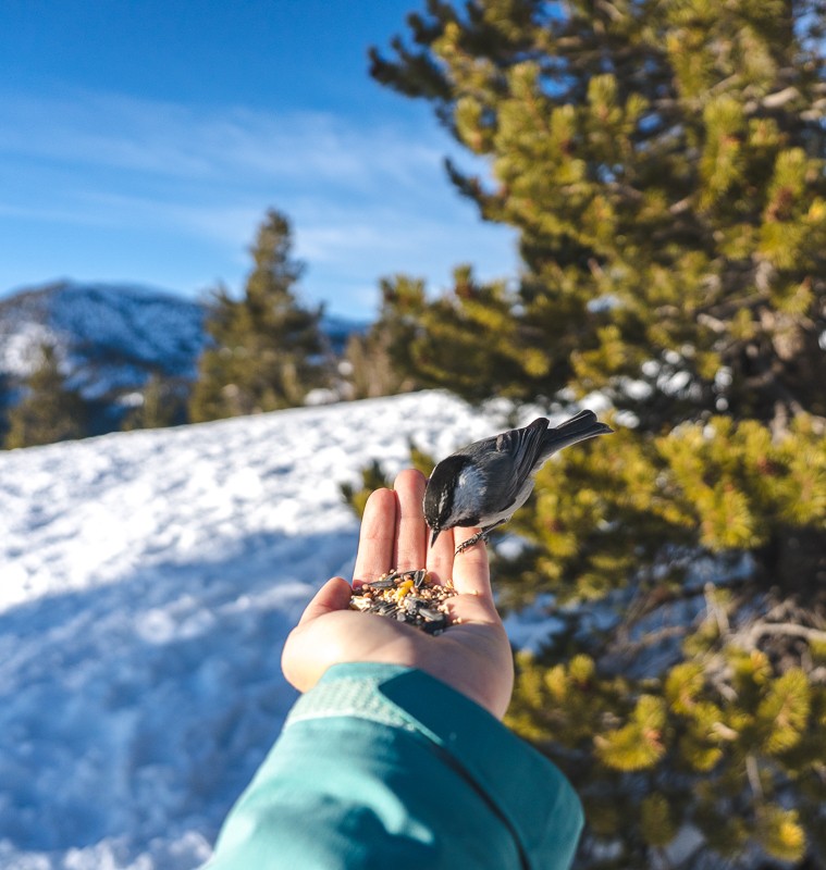 lake tahoe winter