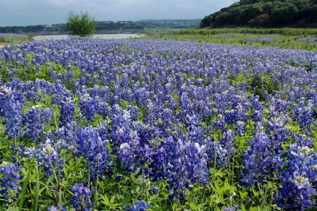 best places to visit in the USA in spring