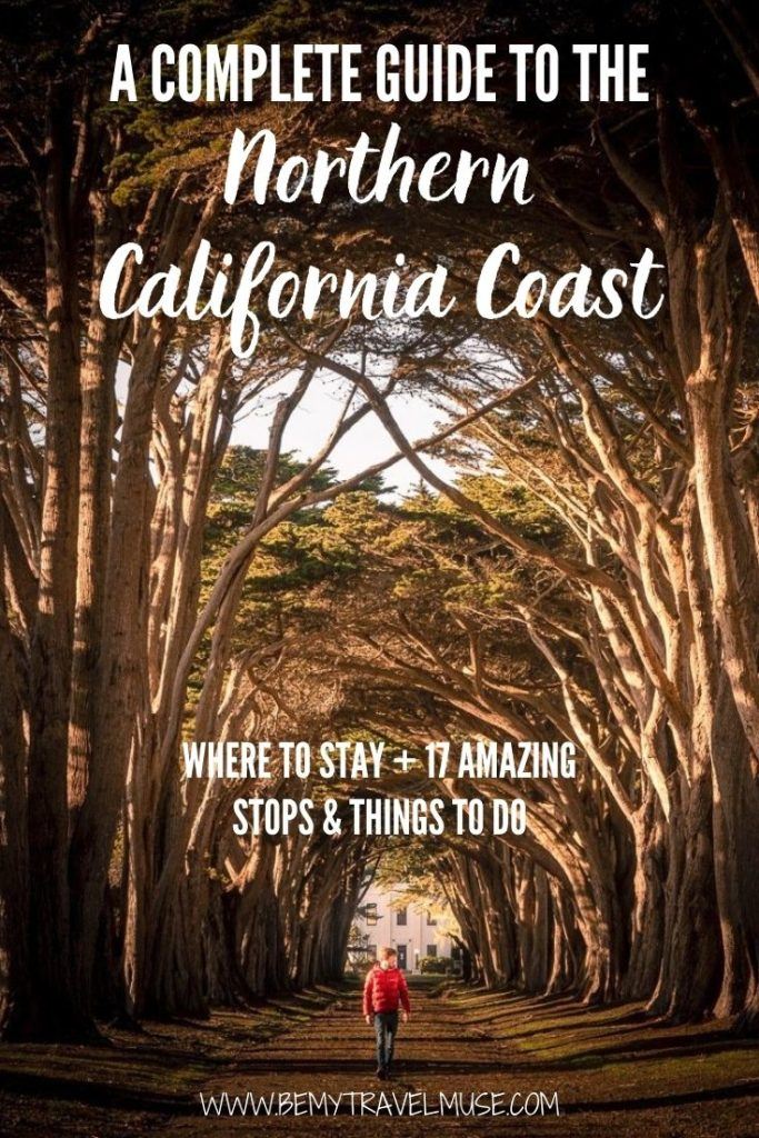 The Northern California Coast - All the Wonderful Things to See