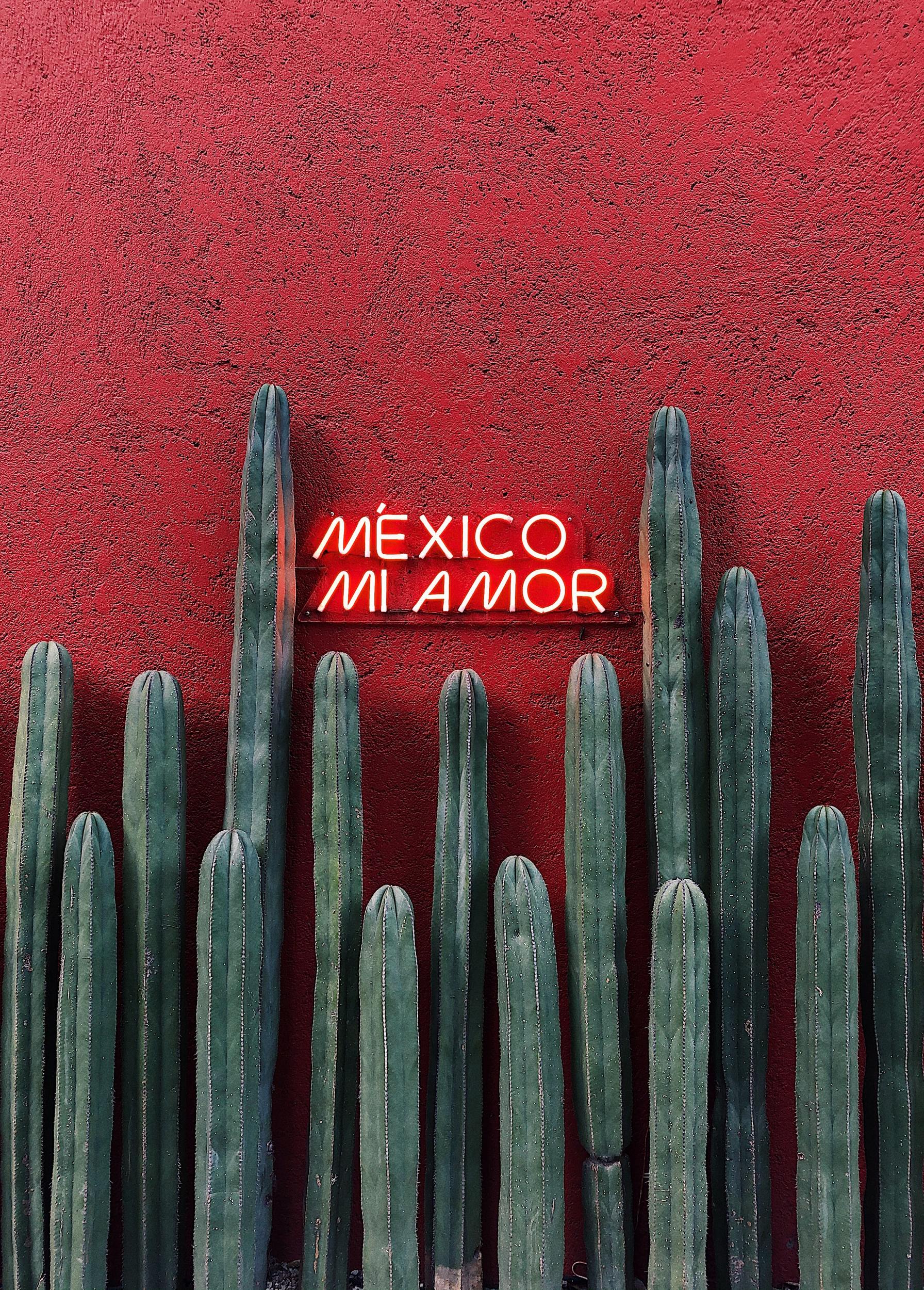 The Supreme Mexico Packing Listing