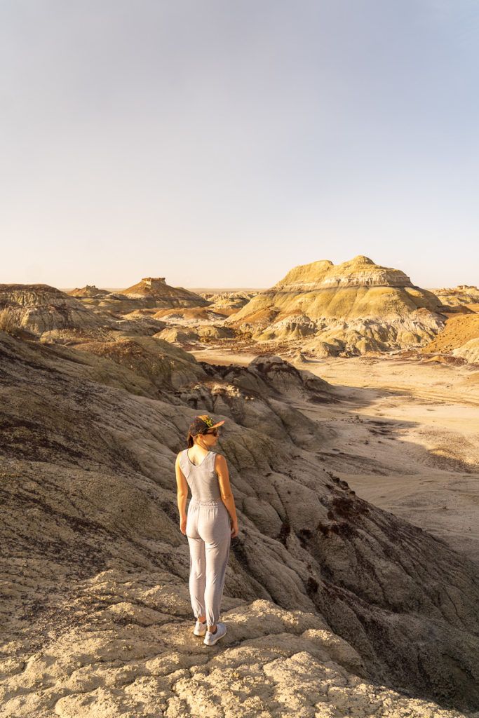 Bisti Badlands Wilderness, New Mexico