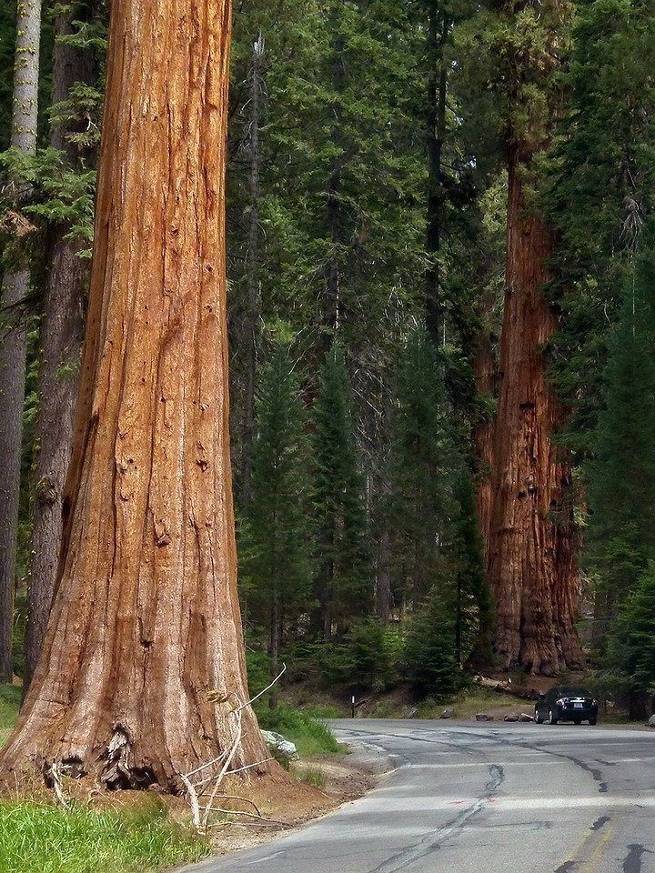 The Perfect 10-Stop Northern California Road Trip