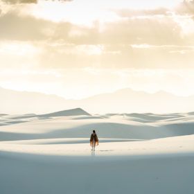 white sands national park