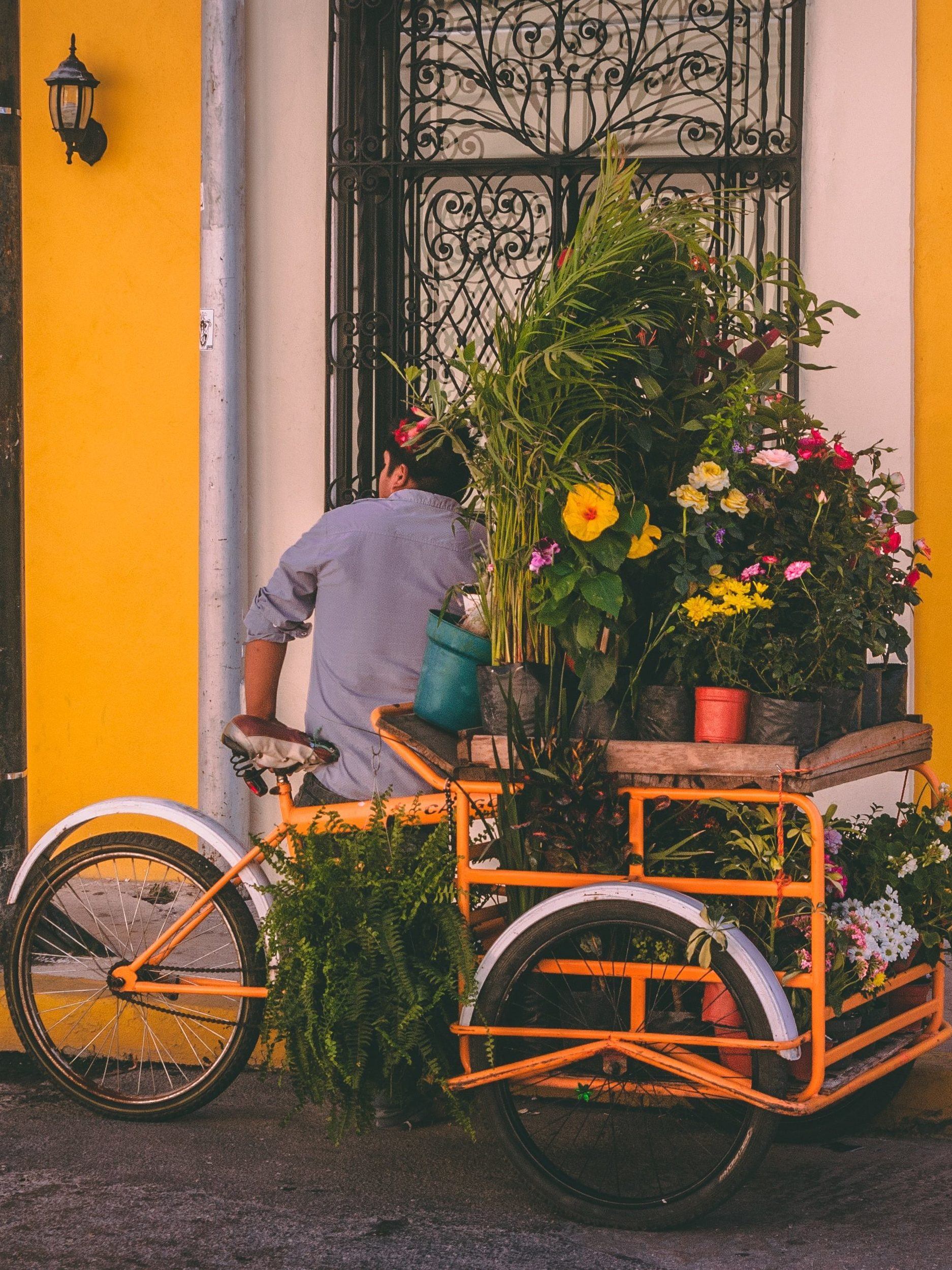 merida mexico tourism office