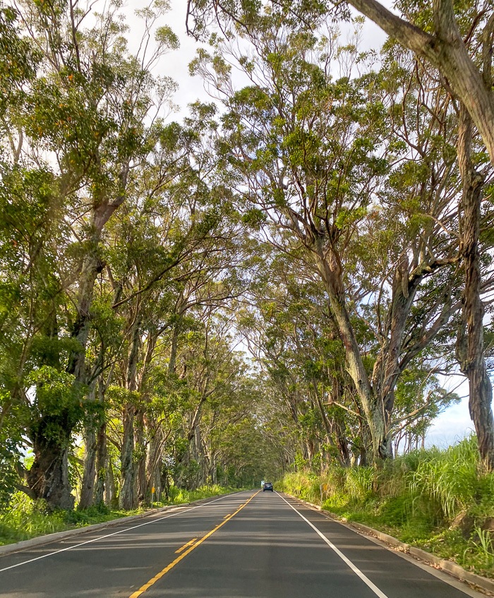 things to do in kauai