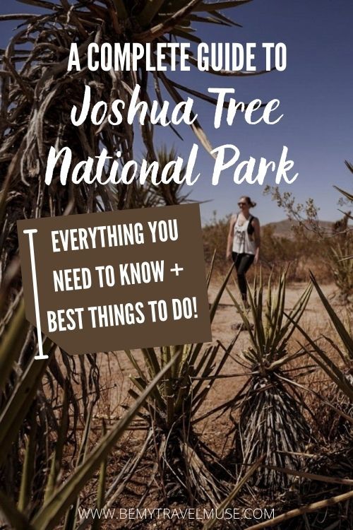 What To Do in Joshua Tree National Park